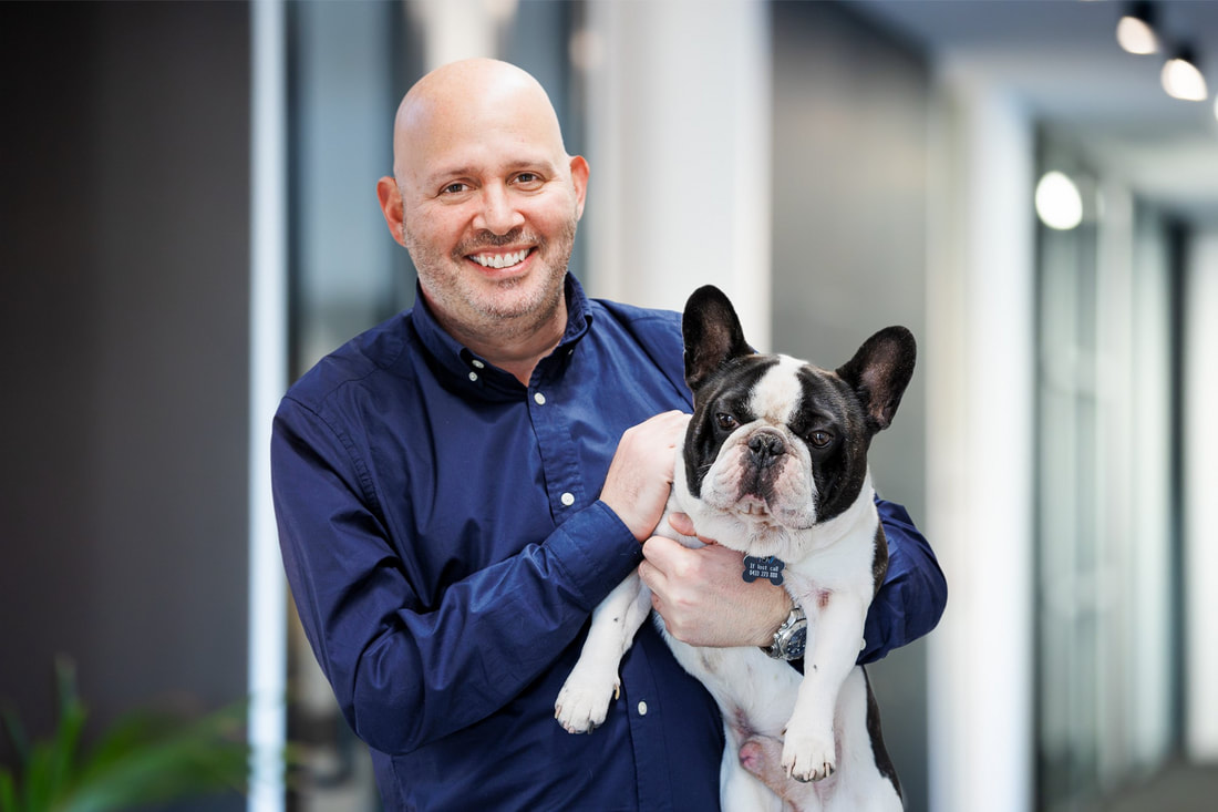 Louis, the office French Bulldog, with Brett Tait